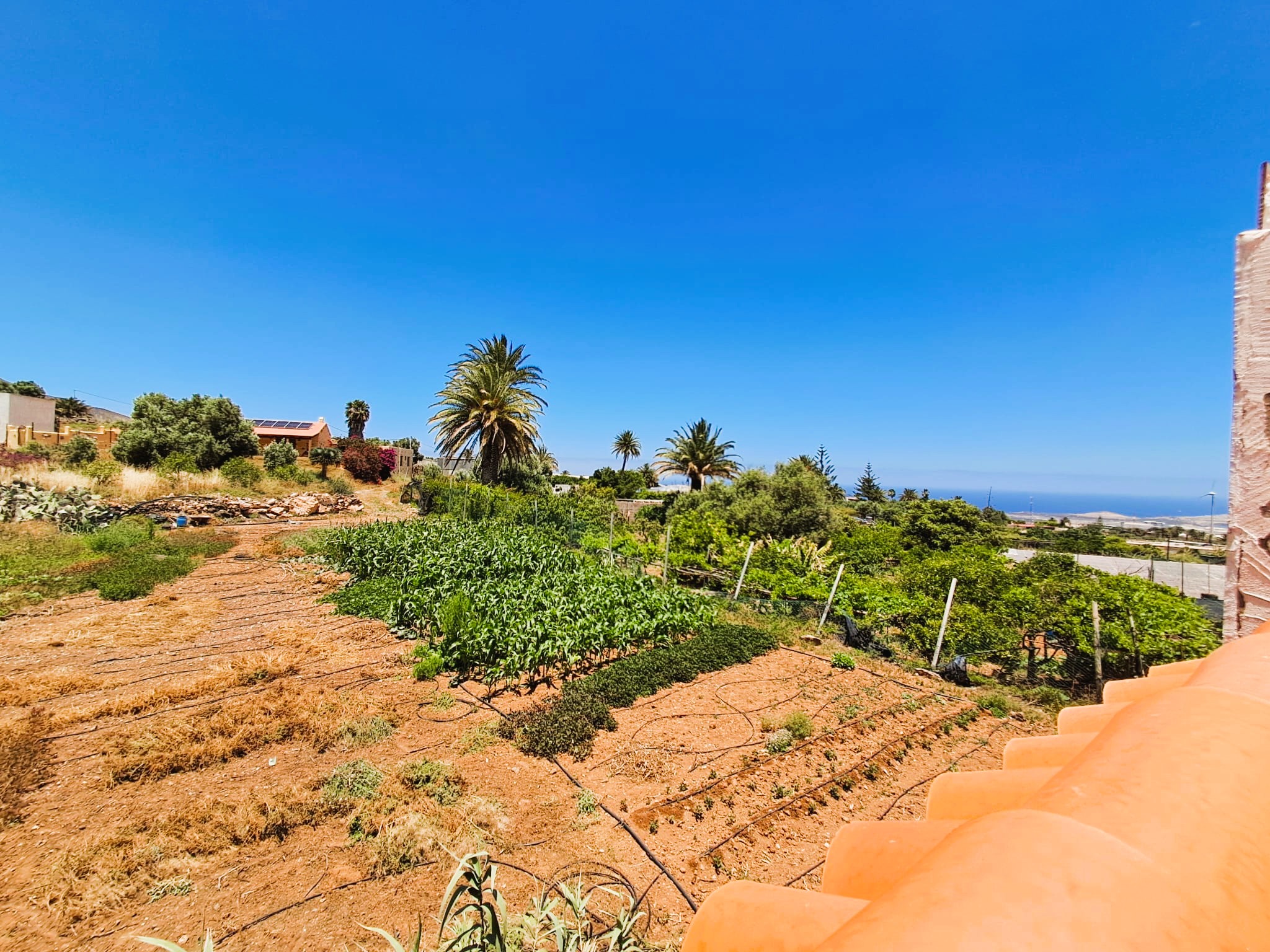Exclusive villa with sea views on a spacious estate